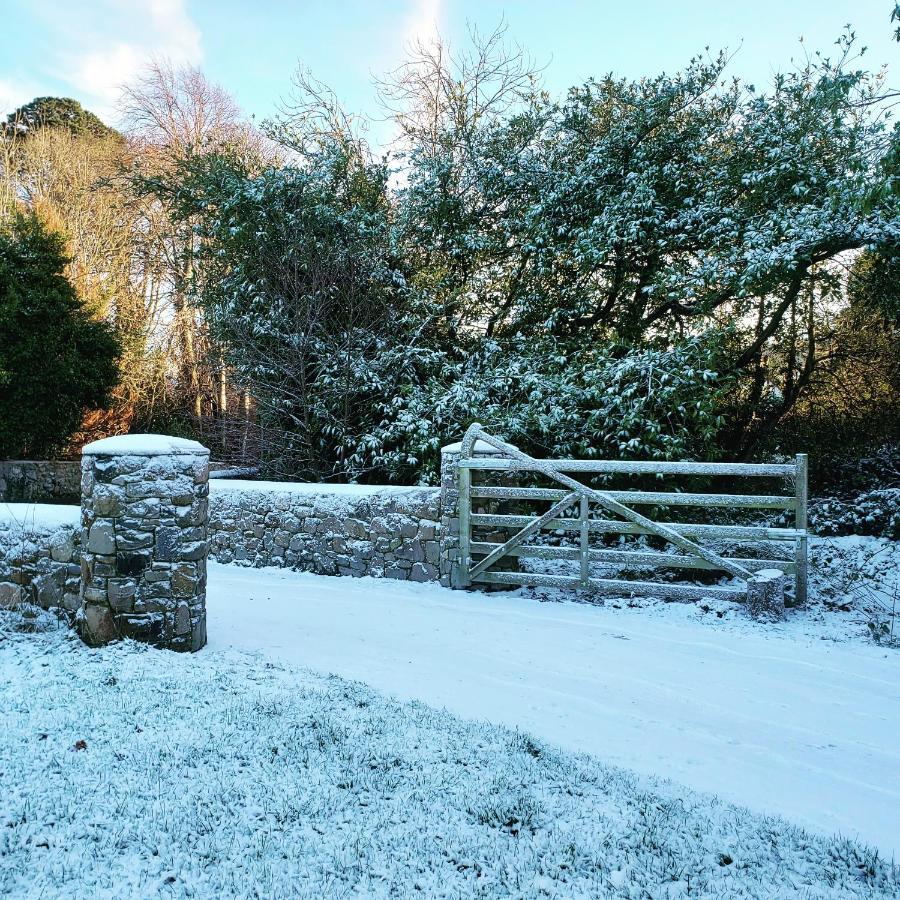 Bryansford Cottage Stables 외부 사진