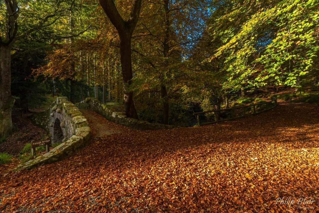 Bryansford Cottage Stables 외부 사진